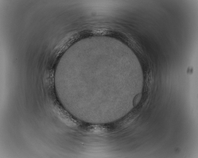 X0000114620601200911101216