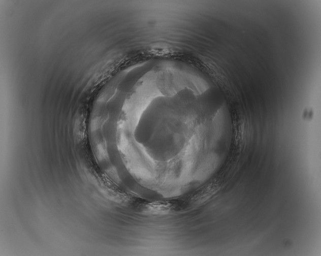 X0000114620606200911101216