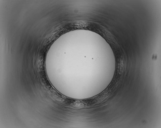 X0000114620608200911101216