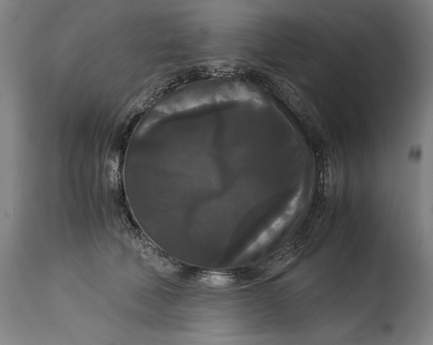 X0000114620610200911101216