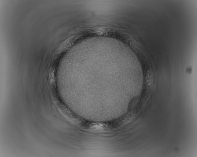 X0000114620611200911101216