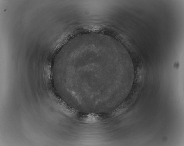 X0000114620612200911101216