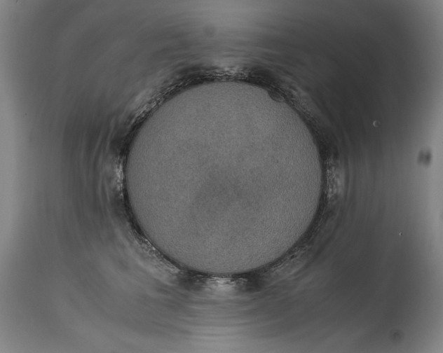 X0000114620613200911101216