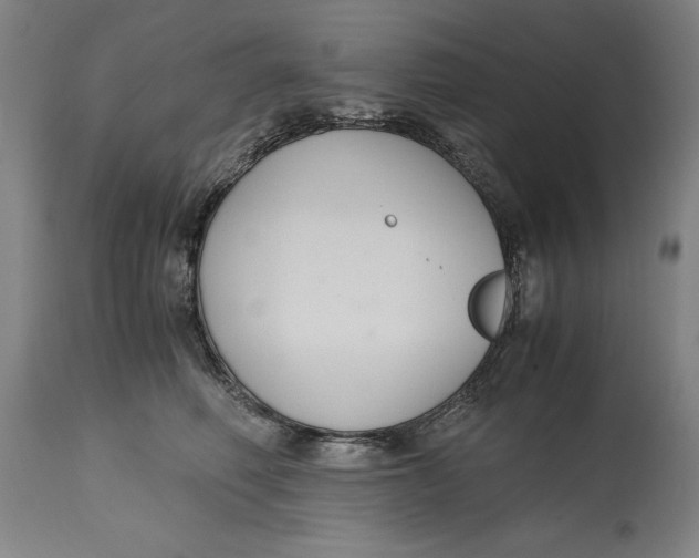 X0000114620614200911101216