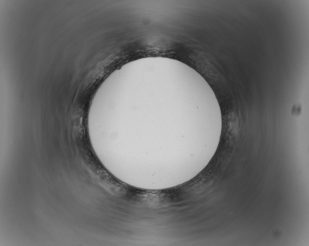 X0000114620615200911101216