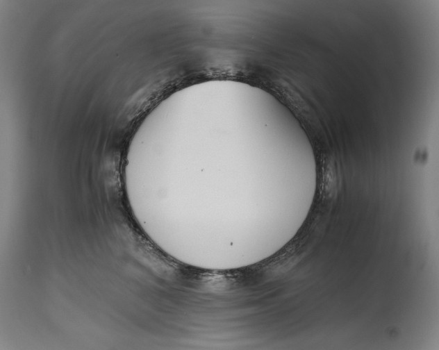 X0000114620616200911101216