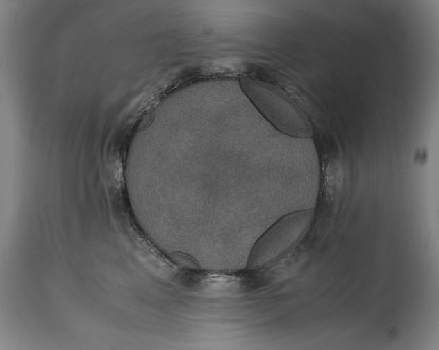 X0000114620617200911101216