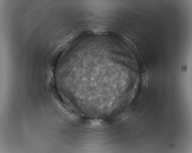 X0000114620618200911101216