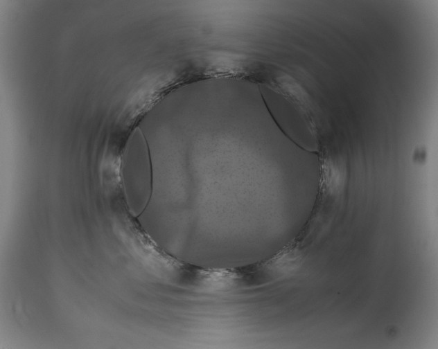 X0000114620621200911101215