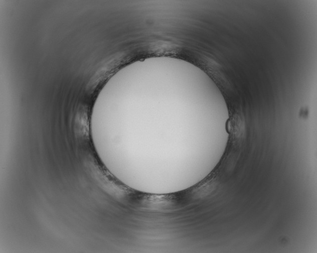 X0000114620622200911101215