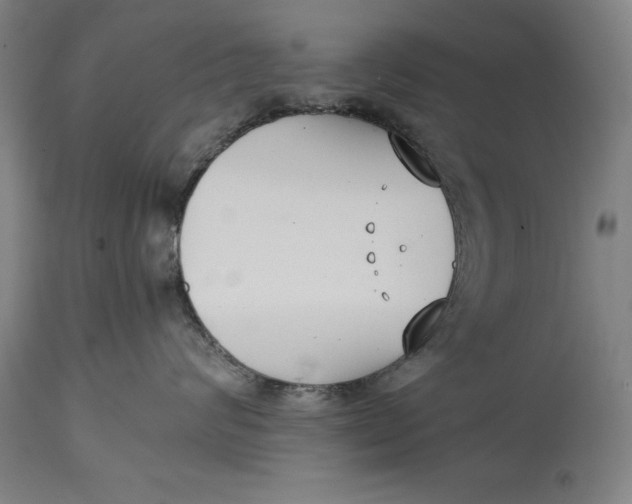 X0000114620624200911101215