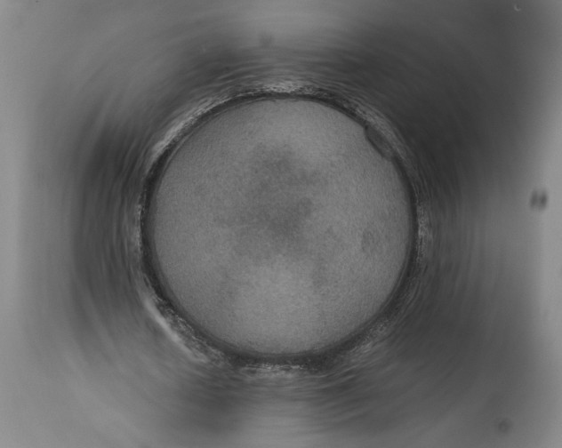 X0000114620626200911101215