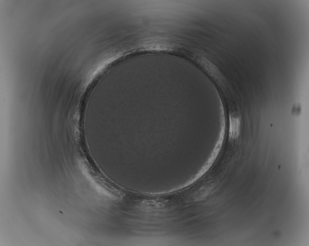 X0000114620627200911101215