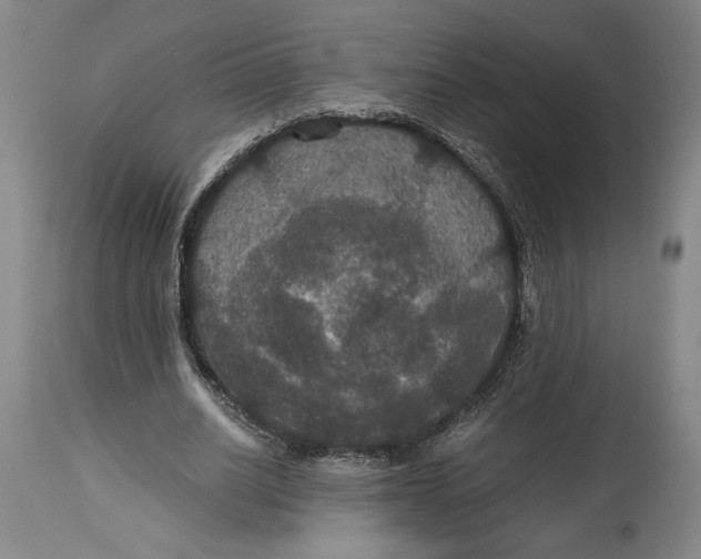 X0000114620630200911101215