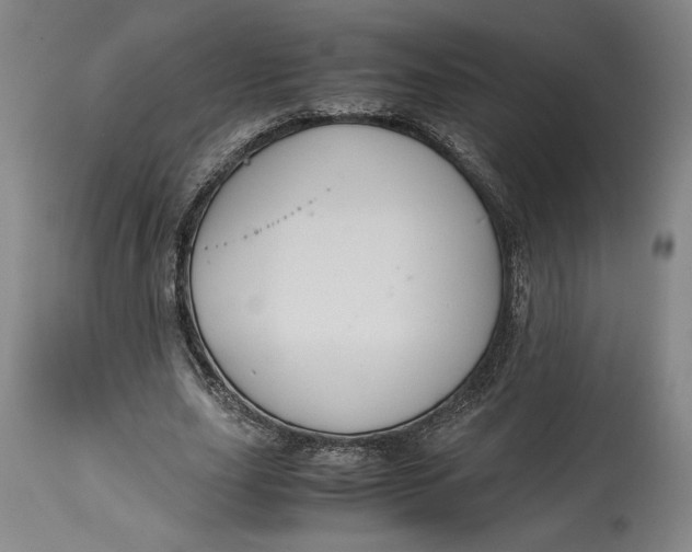 X0000114620631200911101215