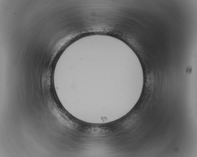 X0000114620632200911101215