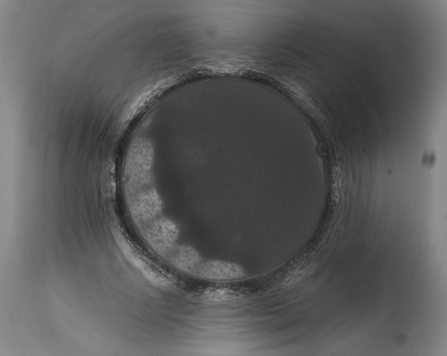X0000114620634200911101215