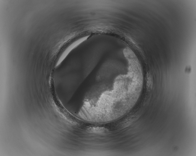 X0000114620637200911101215