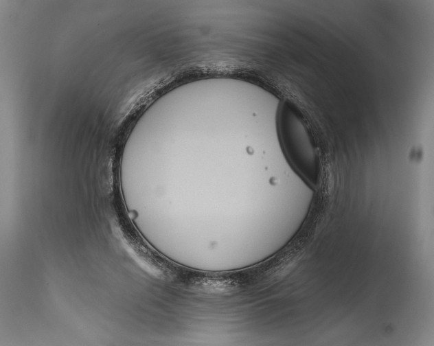 X0000114620638200911101215
