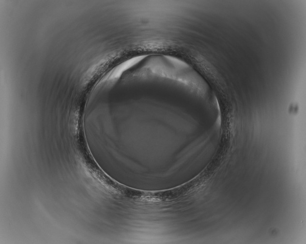 X0000114620640200911101215