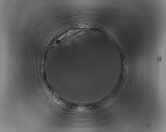 X0000114620641200911101215