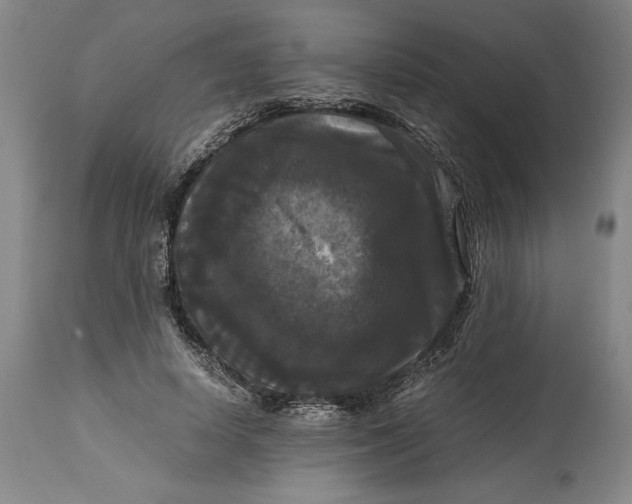 X0000114620642200911101215