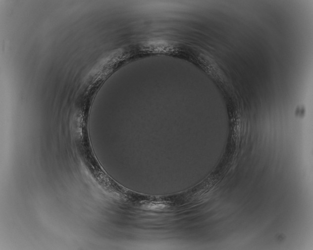 X0000114620643200911101215