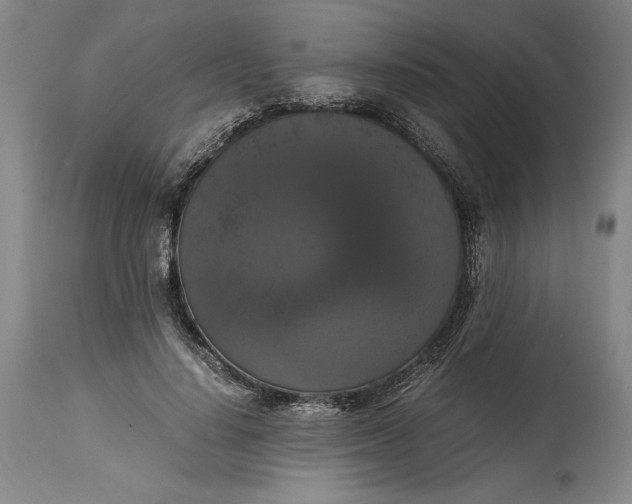 X0000114620644200911101215