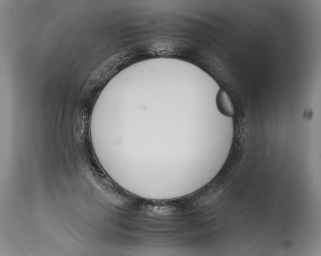 X0000114620645200911101215
