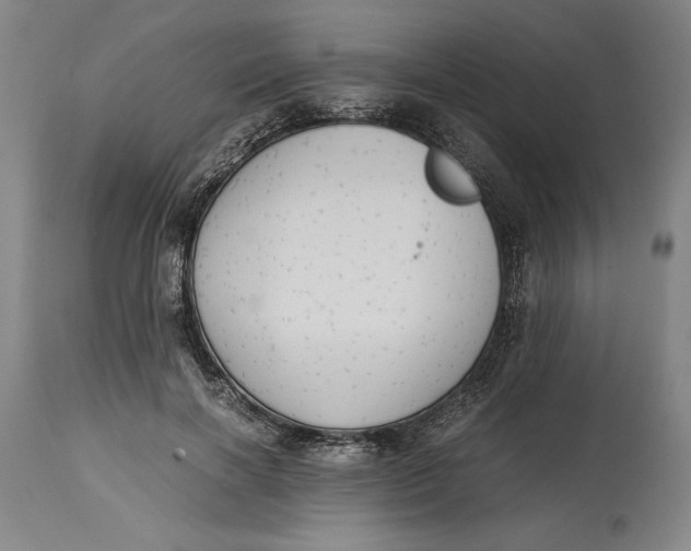 X0000114620646200911101215
