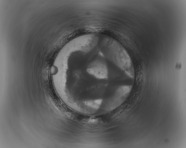 X0000114620647200911101215