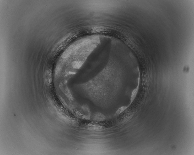 X0000114620648200911101215