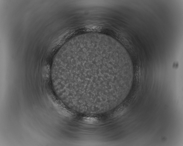 X0000114620649200911101215