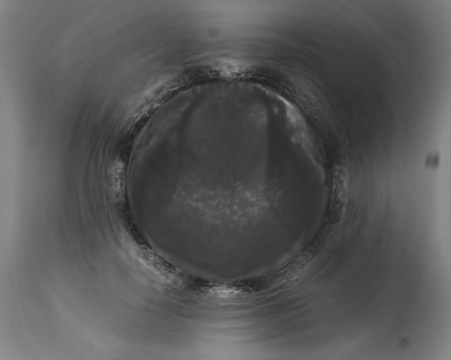 X0000114620650200911101215