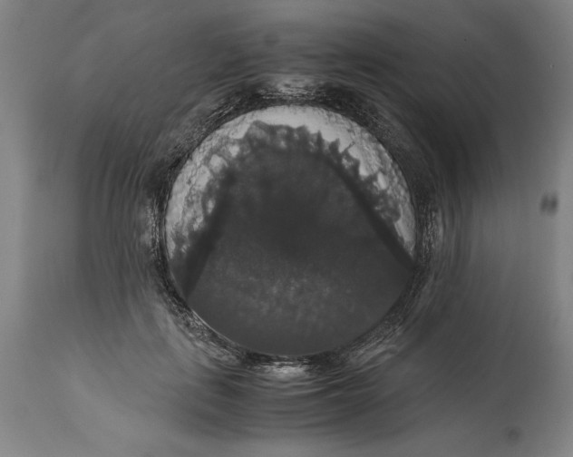 X0000114620651200911101215
