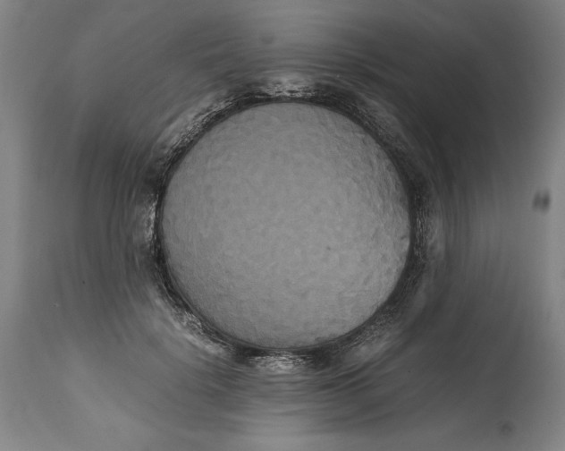 X0000114620652200911101215