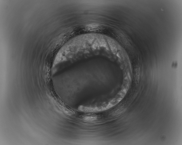 X0000114620653200911101215