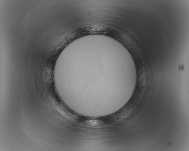 X0000114620654200911101215