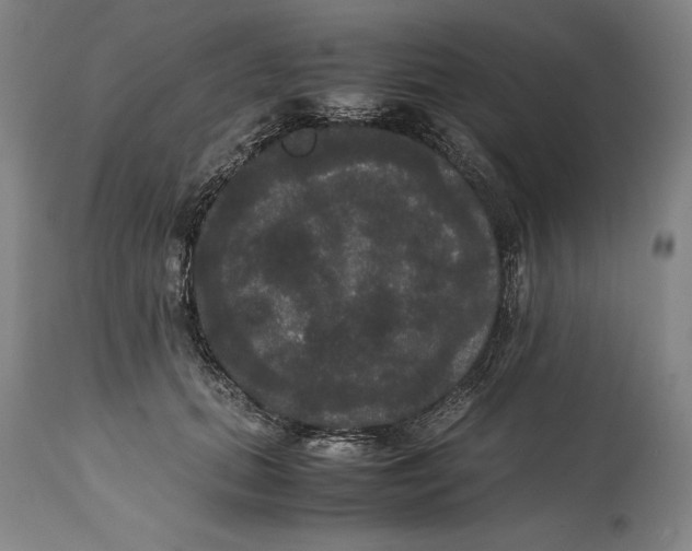 X0000114620655200911101215