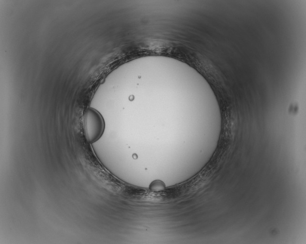 X0000114620656200911101215