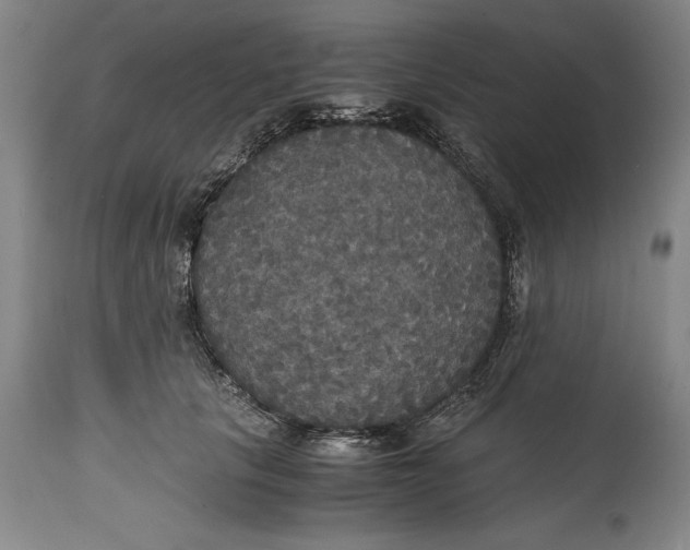 X0000114620657200911101215