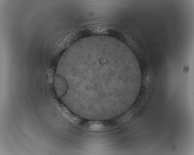 X0000114620658200911101215