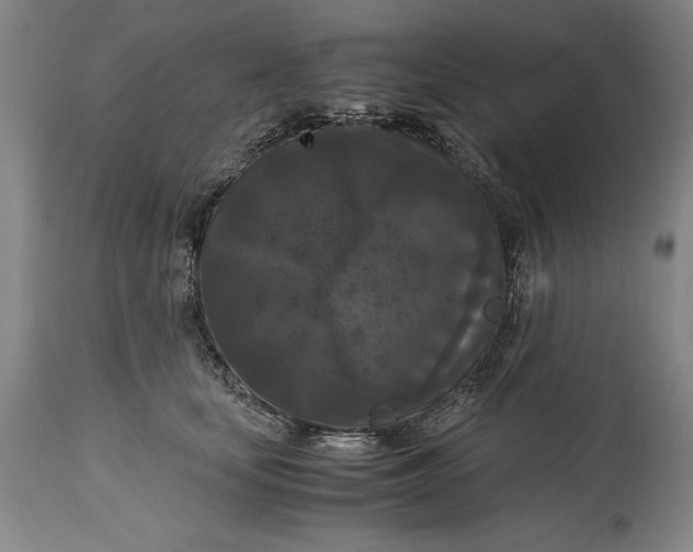 X0000114620659200911101215
