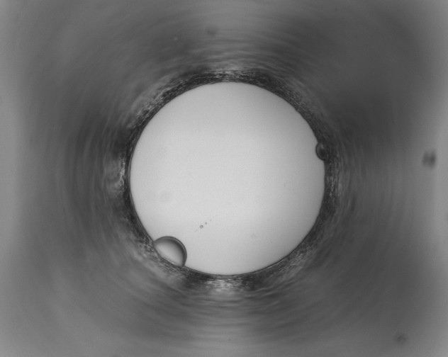 X0000114620660200911101215