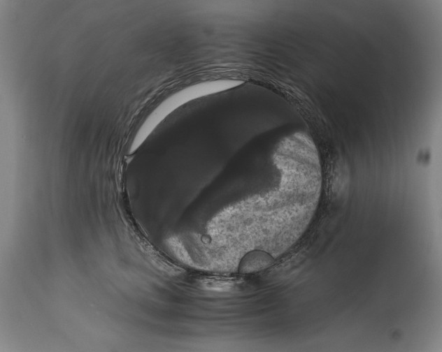 X0000114620661200911101215