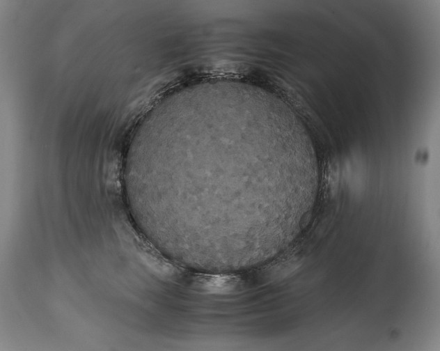 X0000114620663200911101215