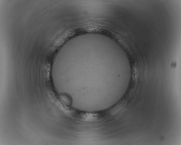 X0000114620664200911101215