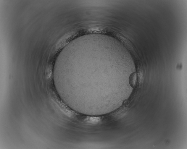 X0000114620665200911101215