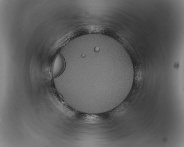 X0000114620666200911101215