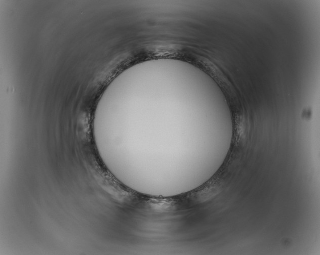 X0000114620667200911101215